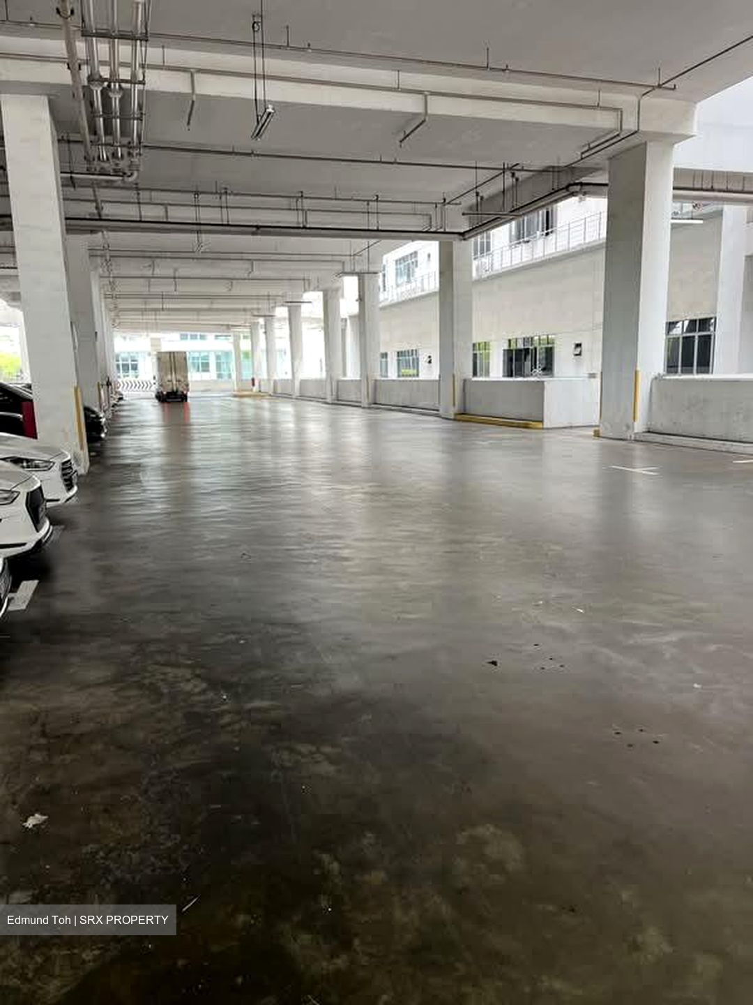 North Spring Bizhub (D27), Factory #566769101